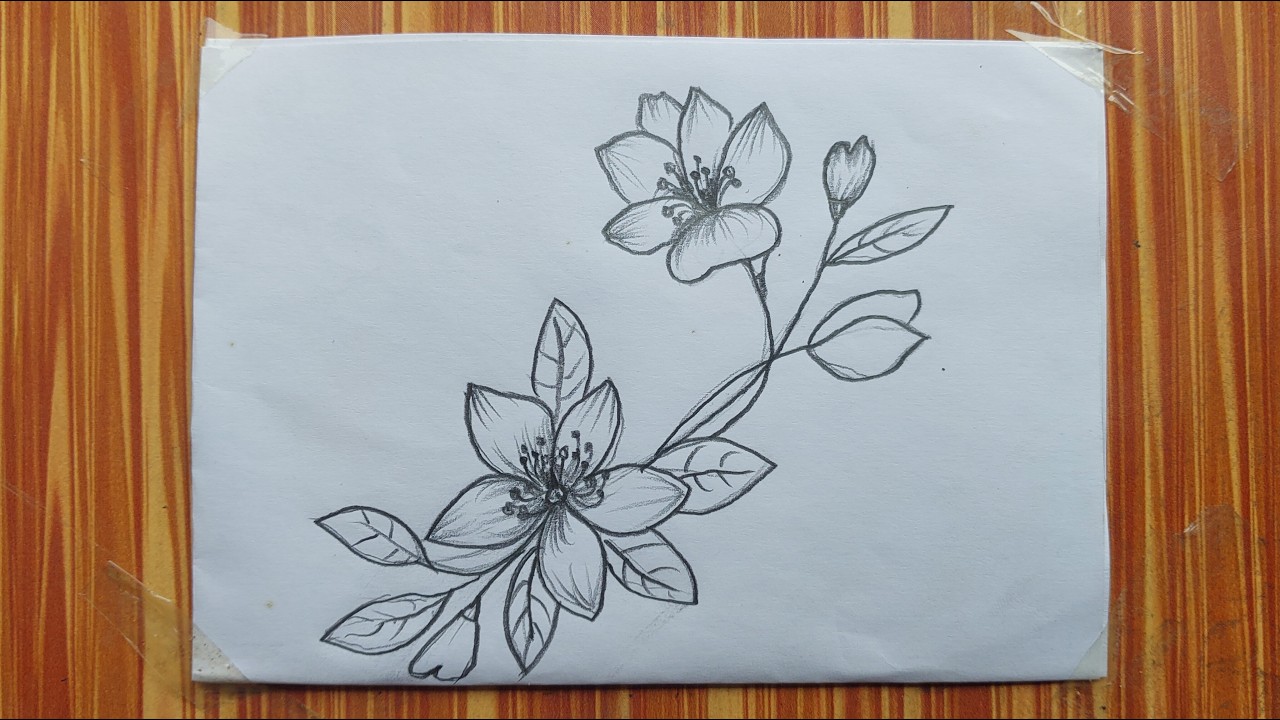 Easy Flower Pencil Drawing | Simple Shading Sketch for Beginners | Asma Pencil Art