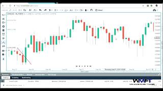WMFT Fibonacci's and how it works in the forex markets