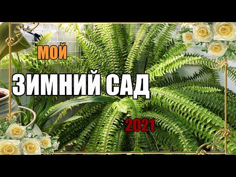 Video: Лоджияны жылытуу: бөлмөнү жылытуу, батареяны лоджияга алып чыгуу мүмкүнбү