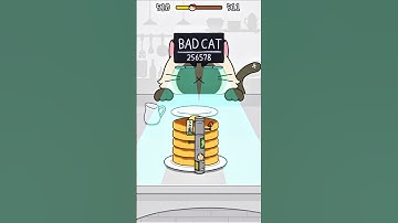 HIDE AND SEEK: CAT ESCAPE LVL 510-511 #catescapegame #catgames #cat #shorts