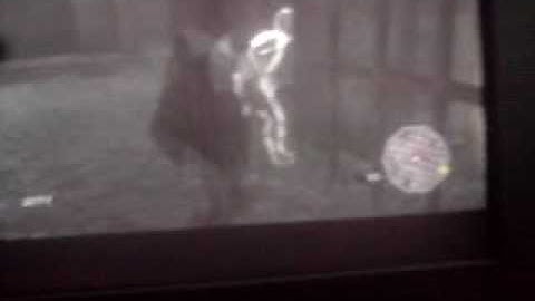 Assassins Creed 2 Funny Bug Video *Mad Guard Running*