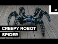 Robotic spider looks freakishly real