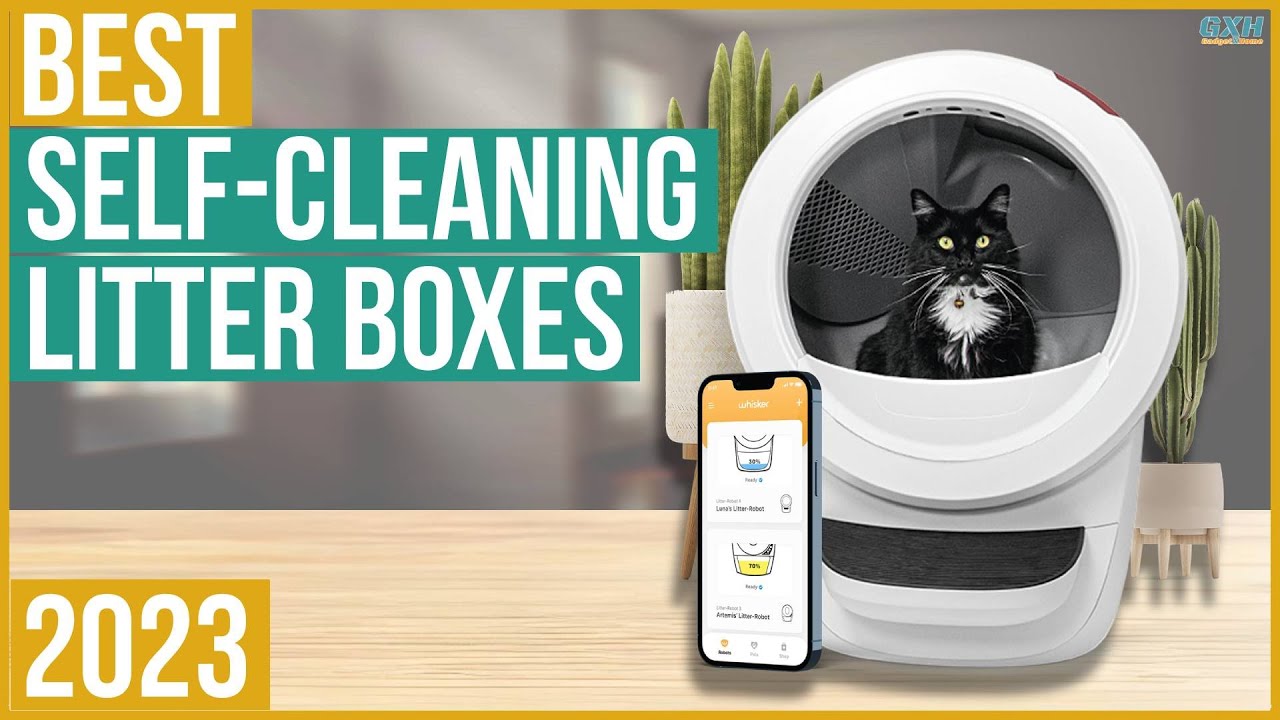 Best SelfCleaning Cat Litter Box 2023 Top 5 Best SelfCleaning Cat