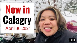 NOW IN CALGARY | spring seasons in Canada | sarah buyucan