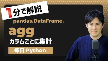 【毎日Python】Pythonでデータフレームをカラムごとに集計する方法｜DataFrame.agg