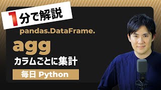【毎日Python】Pythonでデータフレームをカラムごとに集計する方法｜DataFrame.agg