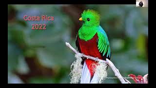 March 2022: Birding Costa Rica's Varied Habitats