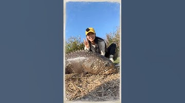 Gái xinh câu cá mũ bằng thanh sắt phi 18 phần 2 #fishing #cauca #short