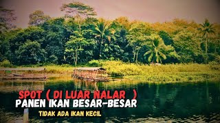 BEYOND REASON ❗HARVEST BIG FISH IN THIS WILD SPOT | FISHING MANIA