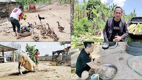 txiav zaub nyuj rau nyuj noj kom muaj zog yuav coj mus sib nraus nawj npaj siab saib nawb