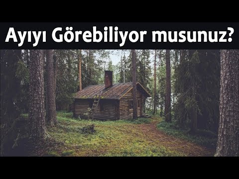 Kimse Gizlenmiş Hayvanları Göremiyor - Hayvanların Gizlendiği 10 Fotoğraf