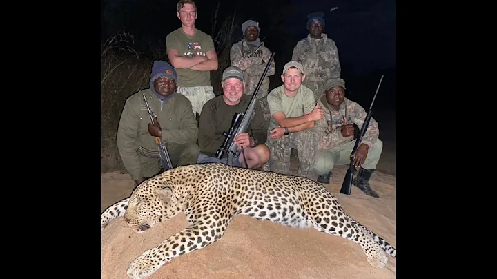 Leopard and hippo hunt in Omay Zimbabwe