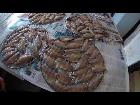 Como a fumar peixe para iniciantes