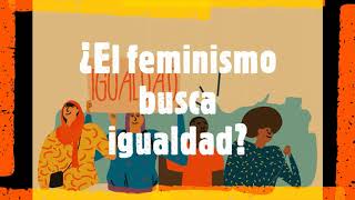 ¿El feminismo busca igualdad?