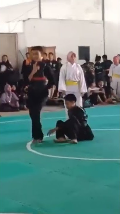 Story WA Pencak Silat 30 detik