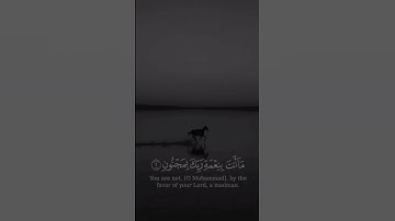 ن ۚ وَالْقَلَمِ وَمَا يَسْطُرُونَ،، القارئ سالم الرويلي،، 🌳
