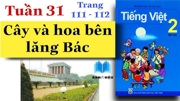 Tiếng Việt Lớp 2 | Tuần 31 | CÂY VÀ HOA BÊN LĂNG BÁC | Tập đọc | Tập 2 | Trang 111 - 113