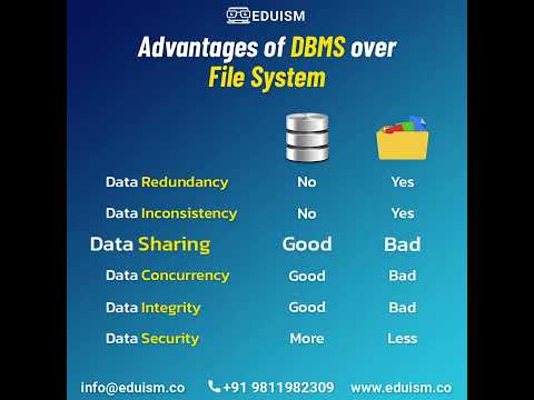 Advantages of DBMS over File System - YouTube