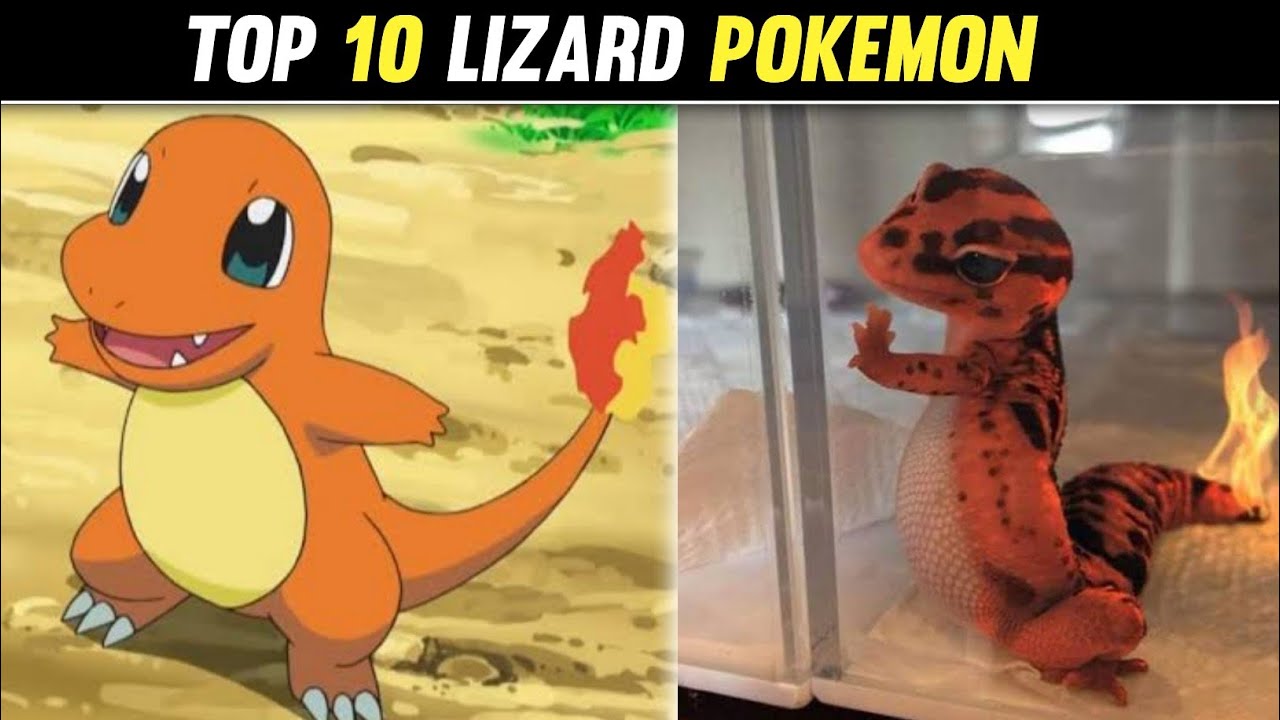 The best lizard Pokémon