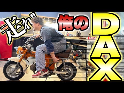 旧車】このアメリカンDAXはある意味レーシーなんだぜ？【4ミニ_
