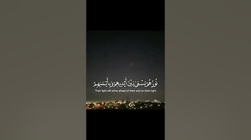 يا أيها الذين آمنوا توبوا إلى الله|تلاوة خاشعة|
