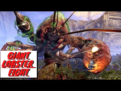 Elden Ring Giant Lobster Fight Full Gameplay (4K 60FPS)