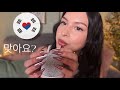 ASMR Trying To Speak Korean I Tried