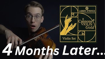 Il Cannone Gold Violin Strings - THE TRUTH after 4 months