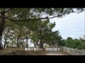 昭和の花   歌・小金沢昇司   cover・てんぷら