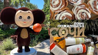 ЧТО КУПИЛА В ТАЙЛАНДЕ| СОЧИ-ГДЕ ПОЕСТЬ В АДЛЕРЕ? OZON: ПОКУПКИ Д/ КУХНИ,УХОД Д/ ЛИЦА | ПЕКУ CINNABON