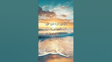 سورة آل عمران/ الآية (156)