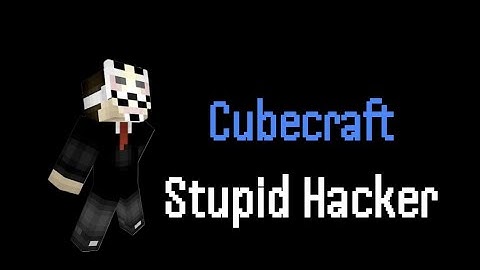 Stupid hacker in Cubecraft