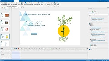 How to Create Multiple Choice Questions - ActivePresenter 8