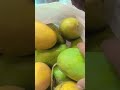 #YouTube short #fresh mangoe🥭🥭🥭🥭🥭👌👌😋😋😋😋😋