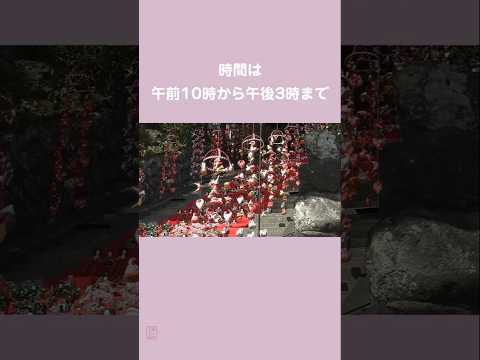 2025年3月2日！河津桜と東伊豆町稲取のスサノオ神社・雛段飾り