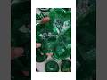 Happy St. Patrick’s Day #stpatricksday #greenday #greenglitter #aamrpeeling #satisfying #sleepsounds