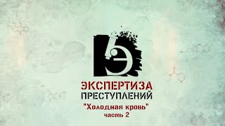 ЧП.BY ЭКСПЕРТИЗА ПРЕСТУПЛЕНИЙ. Холодная кровь (часть 2)