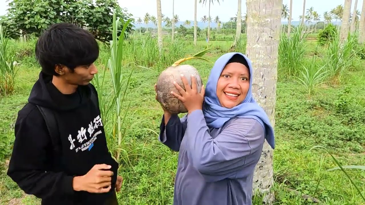 Tonton Sebelum Di Hapus! Anda Sangat Beruntung Sekali Jika Menemukan Kelapa Tua Bertunas Di Hutan