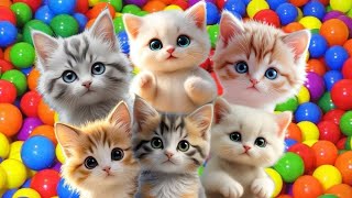 SUARA KUCING MEONG MEONG ⁉️ LAGU ANAK INDONESIA | KUCING LIAR LUCU | KUCING GEMOY.