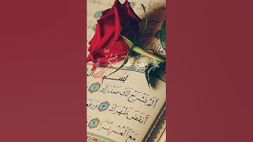 #تلاوة #القرآن #راحة #عبدالرحمن_مسعد #راحةنفسية #عبدالرحمن_مسعد_تلاوة_جديدة #القرآن