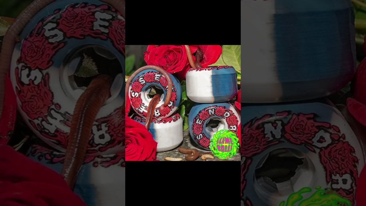 SLIME BALLS 56mm Dressen Vomit Mini White/Black 97A Skateboard Wheels By EIRS Distribution