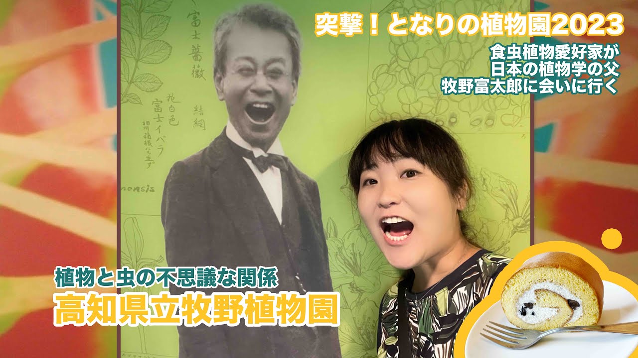 【植物と虫の不思議な関係】高知県立牧野植物園をトコトン楽しむ！【突撃！となりの植物園】日本の植物学の父牧野富太郎と出会う念願の土佐旅。