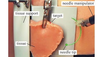 Dual-Arm Robotic Needle Insertion With Active Tissue Deformation for Autonomous Suturing