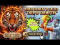 Which element is called the " Tiger of Chemistry"