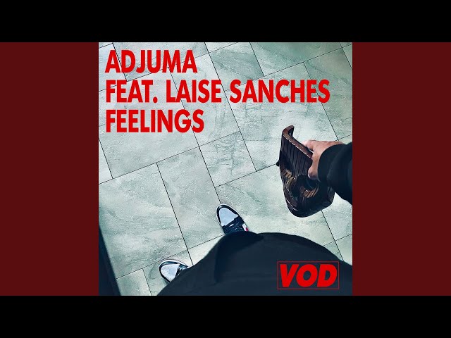Feelings