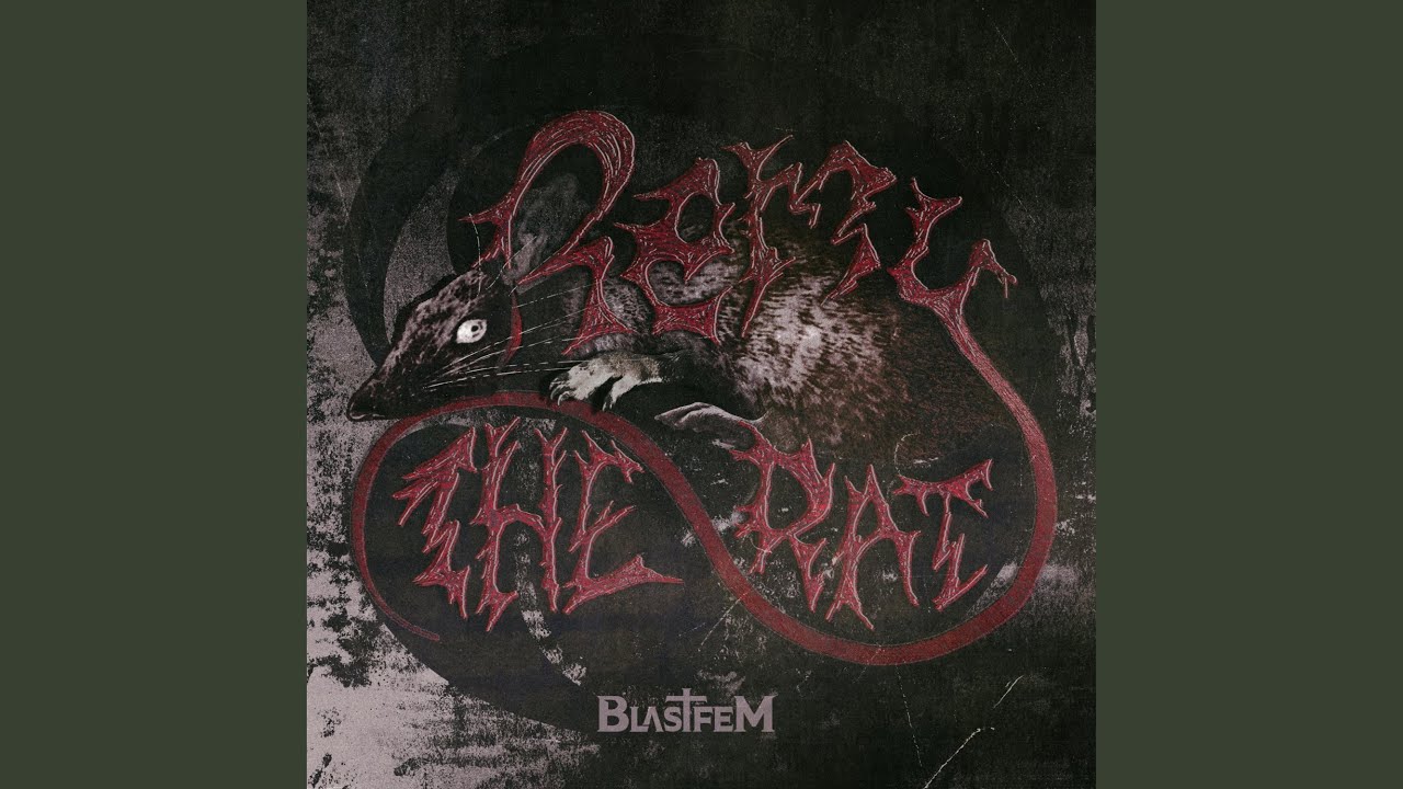 Remy Rat Rapper Rémy the Rat - YouTube