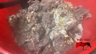 Swamp Gumbo For The Pregnant Gyps Apbt Feed