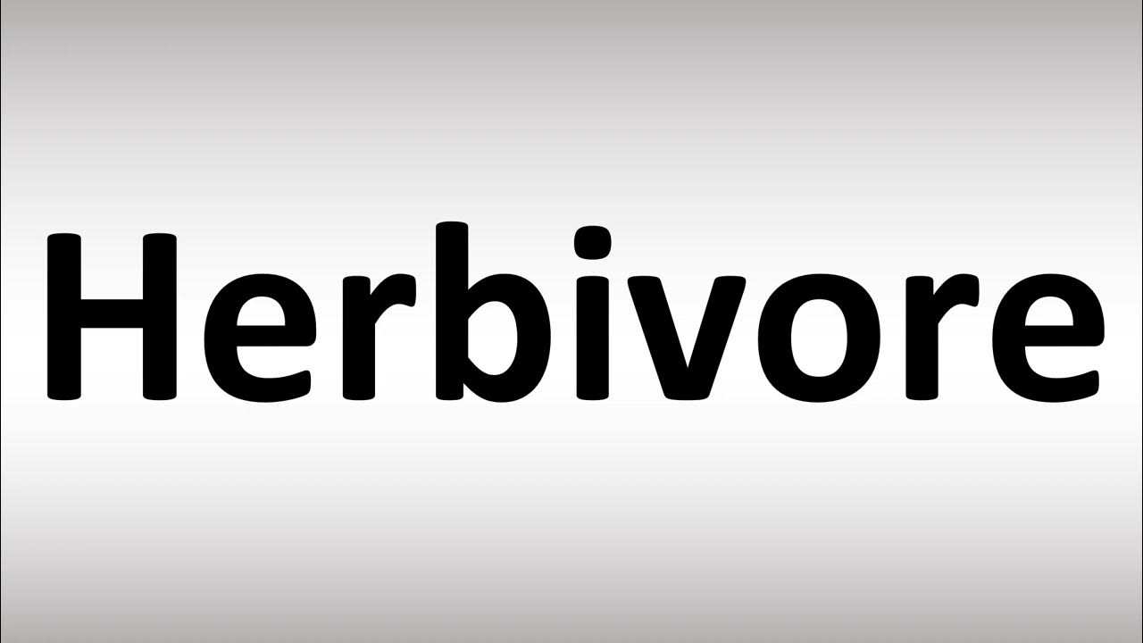 How to Pronounce Herbivore YouTube