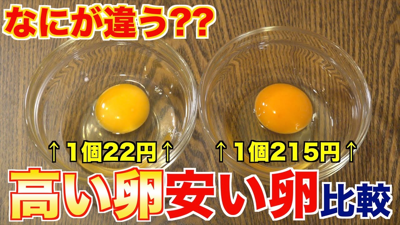 【値段差10倍!?】高いたまごと安いたまご、なにが違うのか？？