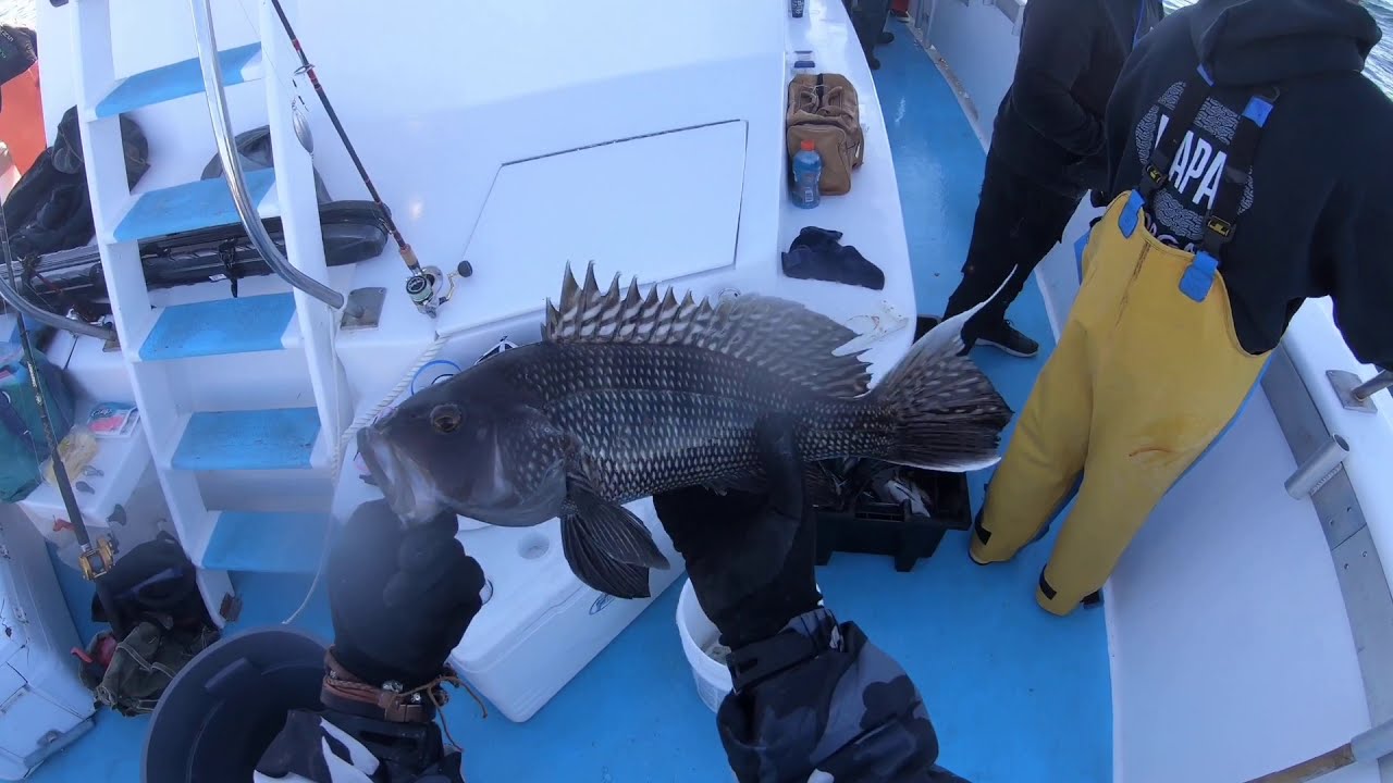 [fishing] 11.29.2020 Miss Montauk